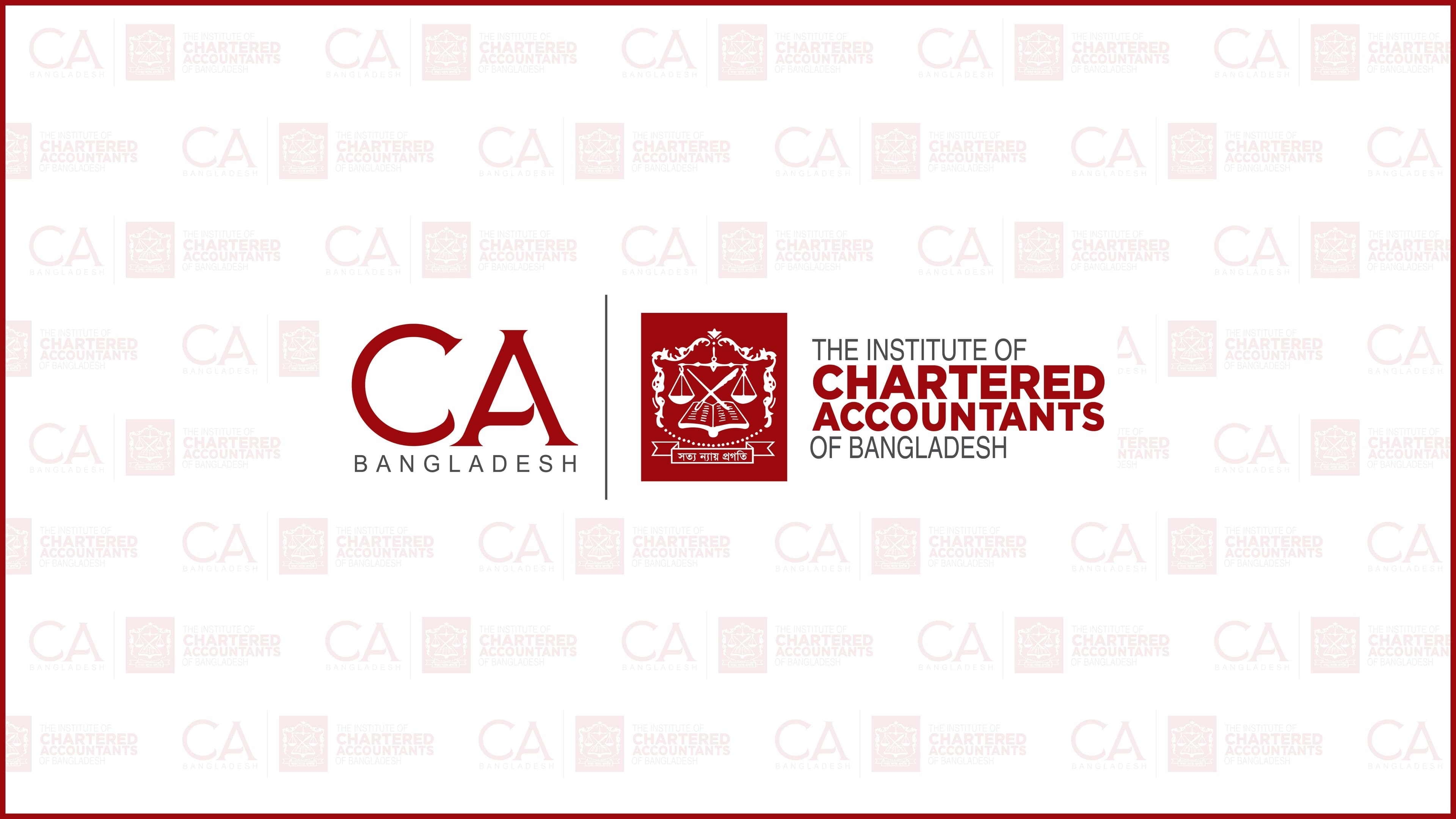 Professional Accountant